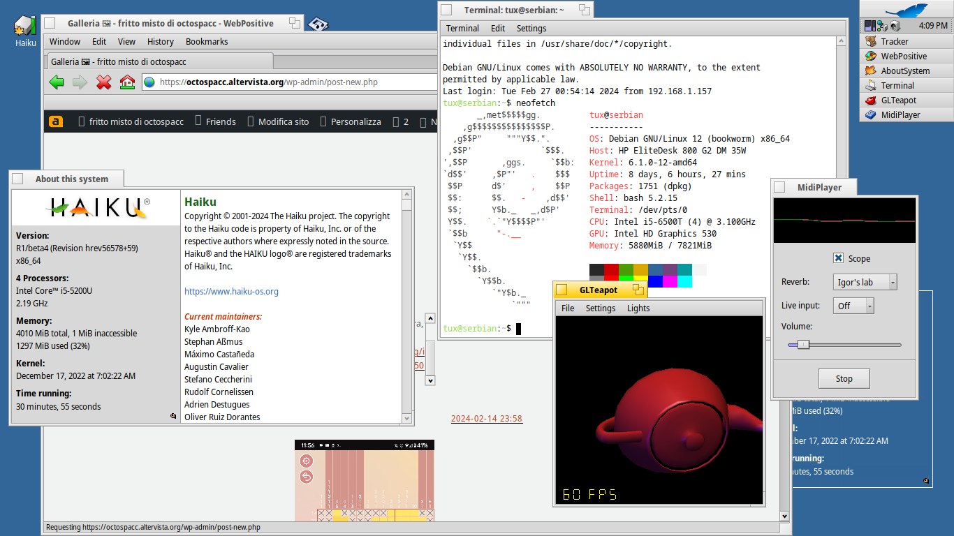 haiku, os, belin.