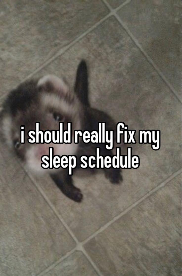 the slep is when no slep